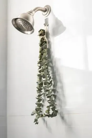 Spa-like amenities in every bathroom