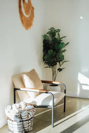 Cozy corner bathed in sunlight