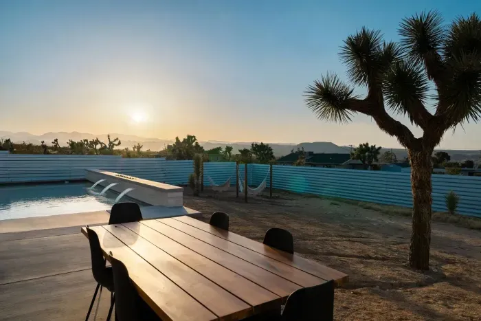 The desert comes alive as the sun sets