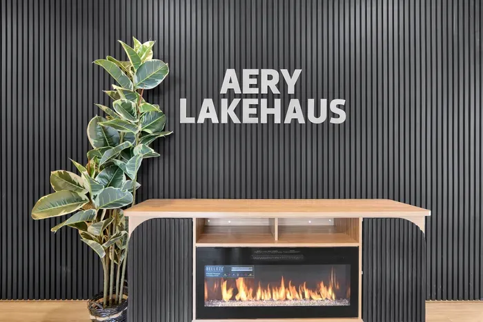 Sleek slat-wall entry with electric fireplace and lush indoor plant.
