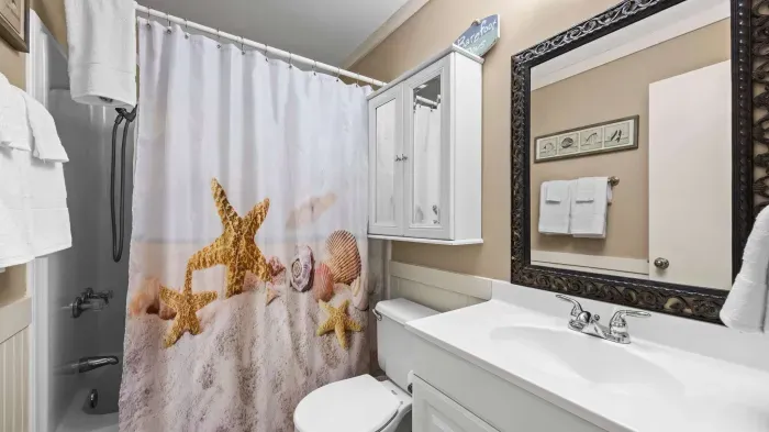 Guest bathroom