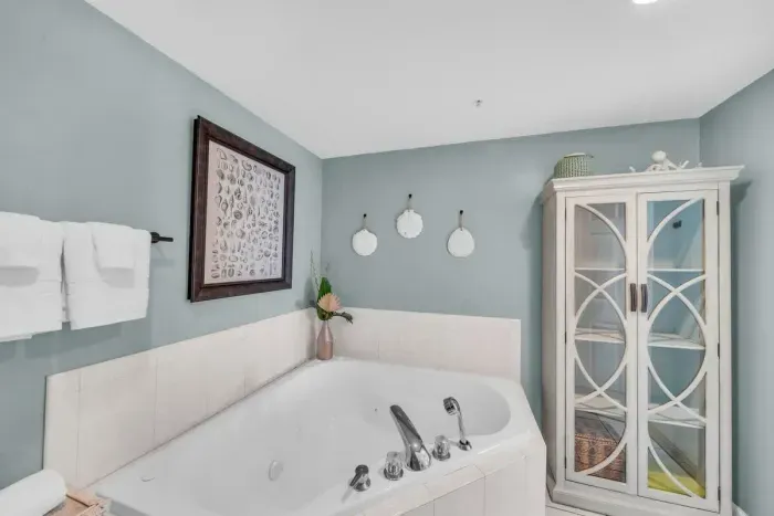 Primary bathroom tub