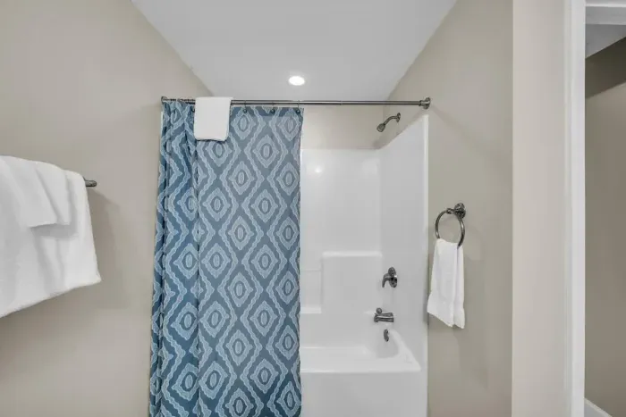 Primary bathroom shower