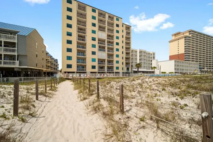 Castaways from the beachside