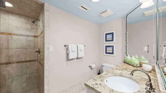 Guest bathroom