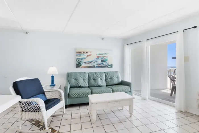 Living room with sofa sleeper