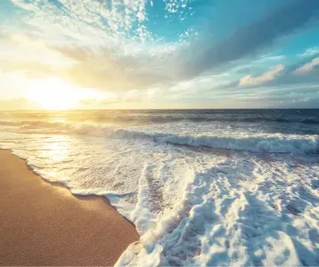 Untitled design (2).png