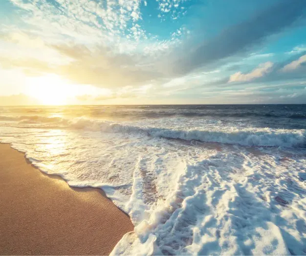 Untitled design (2).png