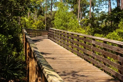 gulf state park alabama (1)