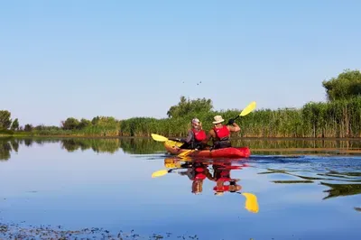 kayaking gulf coast alabama