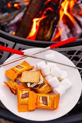 Smore Kits