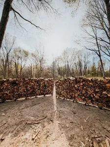 Firewood
