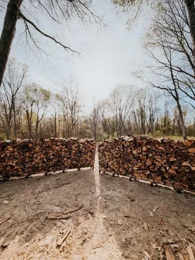 Firewood