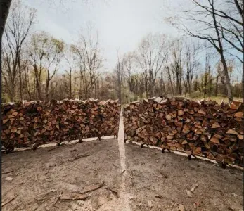 wood