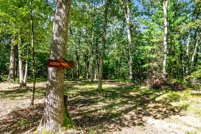 The Wolff Den | Private 10 Acres + Hot Tub & Sauna - image 63 of 64