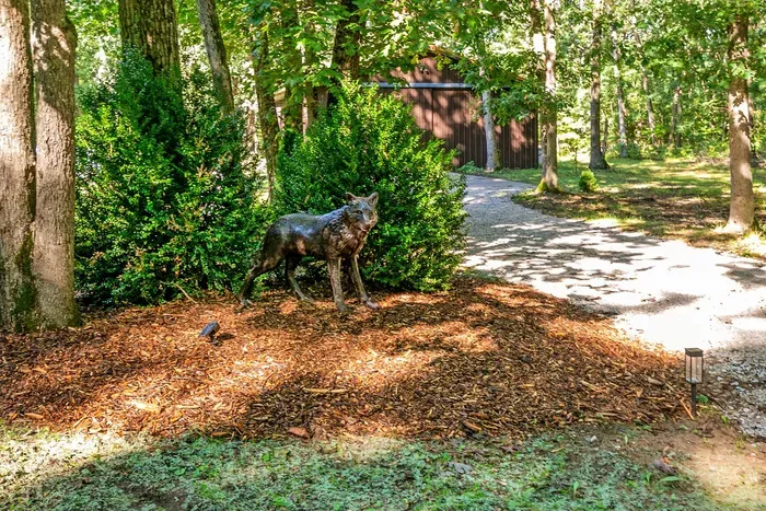 The Wolff Den | Private 10 Acres + Hot Tub & Sauna - image 6 of 64