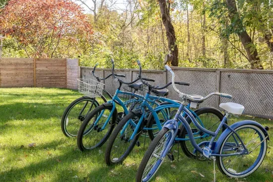 Biking Adventure: Explore the scenic trails of Fennville with our ready-to-ride bicycles!
