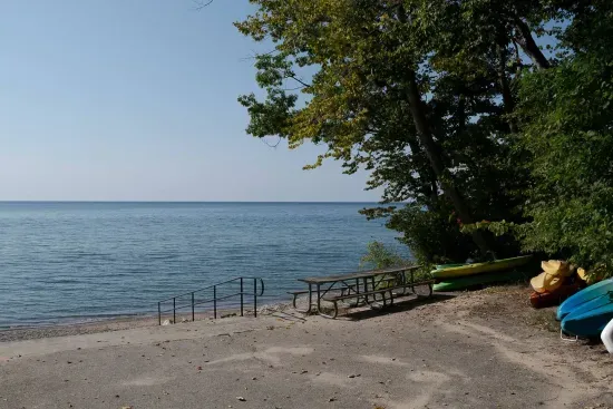 The MidMod of The Lake