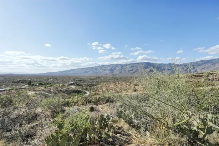 Scenic Vista: Marvel at stunning mountain views and vibrant desert landscapes right from your stay!