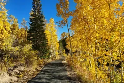 Brian Head Town walking trail.
