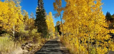 Brian Head Trail
