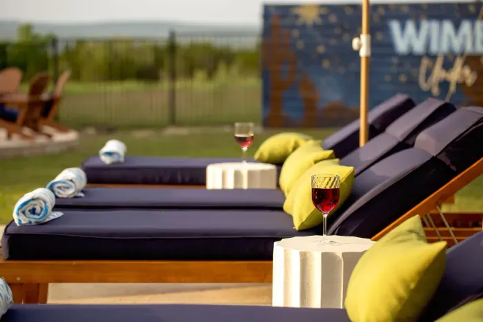 Pool Loungers