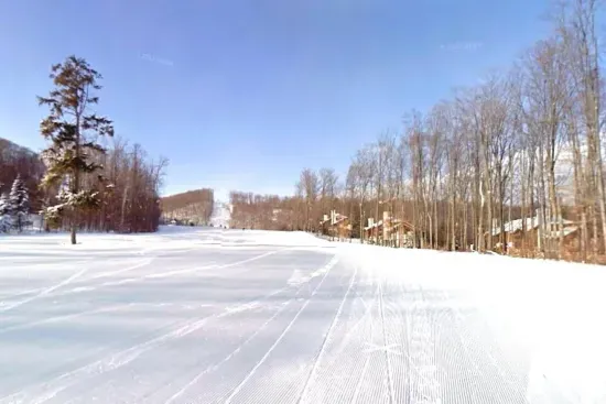 774 Slopeside ski in/out on Prime Boyneland