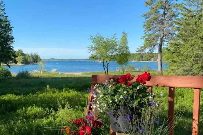 Photo 337