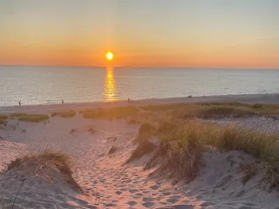 Oyster Bay - image 29 of 40