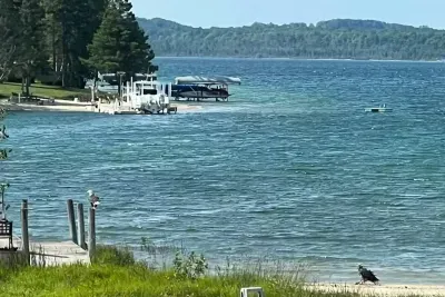 Oyster Bay - image 32 of 40