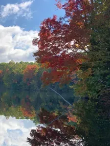 Peaceful and private, beautiful in all seasons