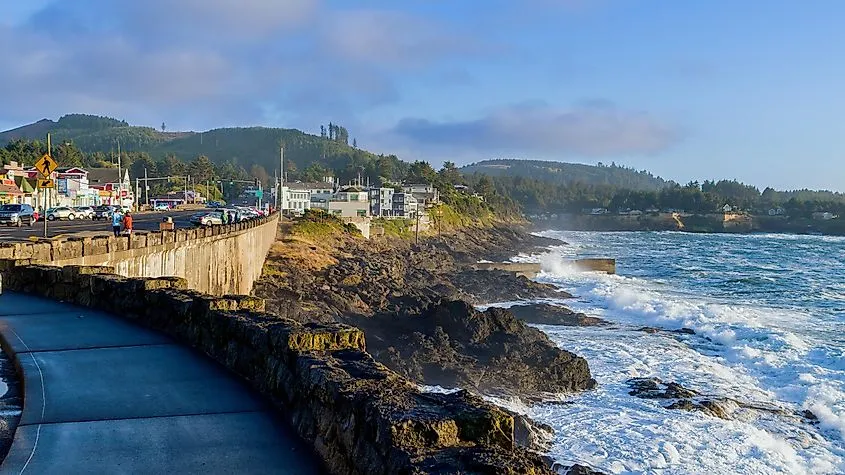 Boiler Bay State Scenic Viewpoint near Depoe Bay Oregon for shore-based whale watching