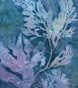 Cyanotype art made with shells and coastal materials during a family workshop on the Oregon Coast