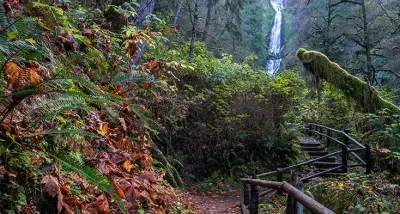 Munson Creek Falls waterfall near Tillamook in Oregon Coast Range forest