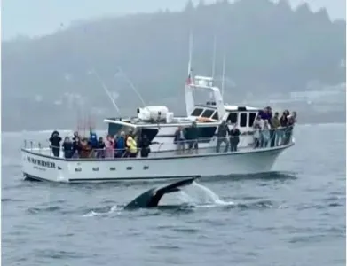 Whale watching charter boat leaving Depoe Bay harbor for an Oregon Coast whale tour