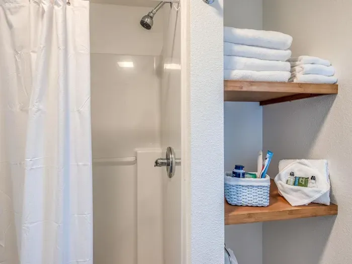 Step in Shower Stall