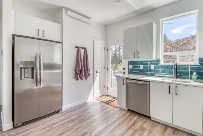 Refrigerator and Back Door