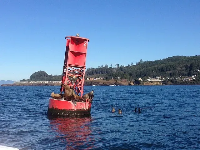 Depoe Bay Buoy