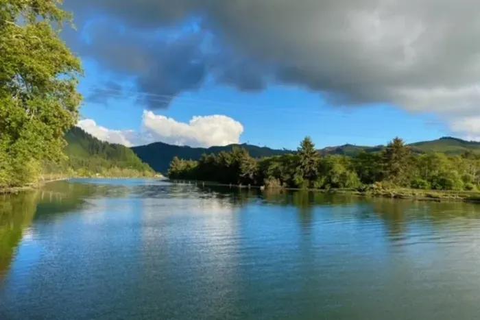 View of the wildlife sanctuary from the great room.
