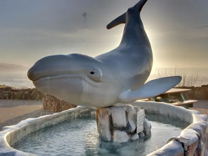 Depoe Bay Whale