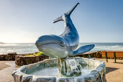 Whales in Depoe Bay