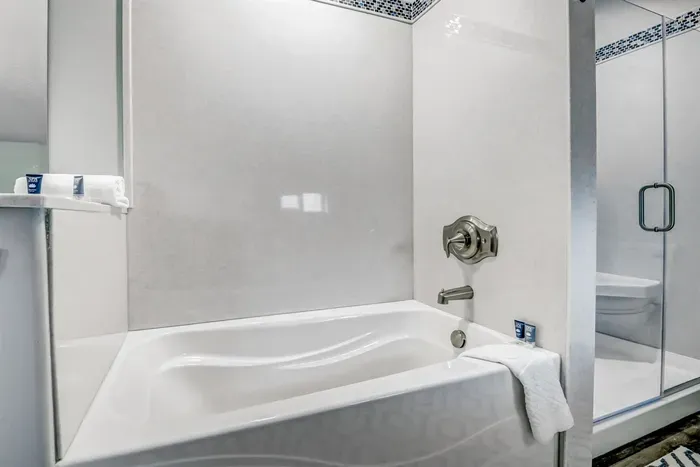 Main Suite Tub Separate from Shower Stall