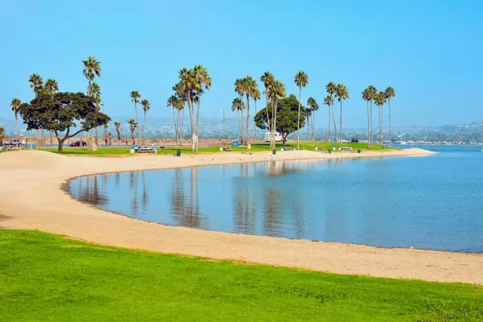 Peaceful bayfront with calm waters, sandy shoreline, and tall palm trees—perfect for picnics, walks, and relaxing by the water.