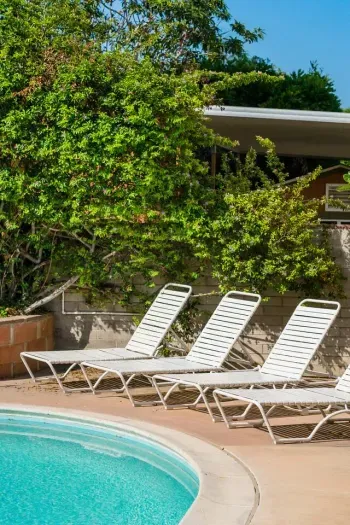 Heated saltwater pool with 4 loungers