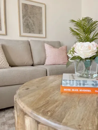 Living room with a sleeper sofa (Queen size)