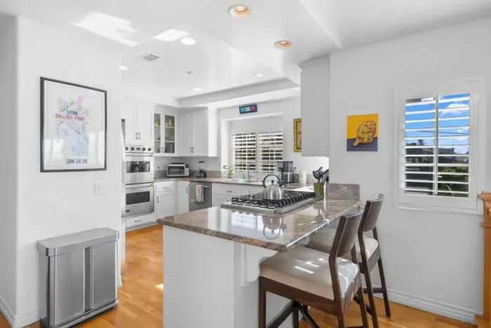 Modern Gourmet Kitchen Space
