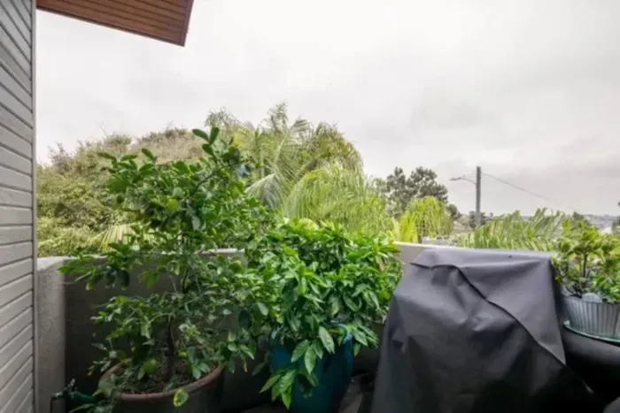 Surround yourself with the tranquility of nature's beauty with our stunning array of trees, providing a serene backdrop for your getaway.