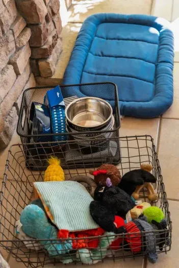 Pet station with toys, bowls, and a soft blue mat by the hearth