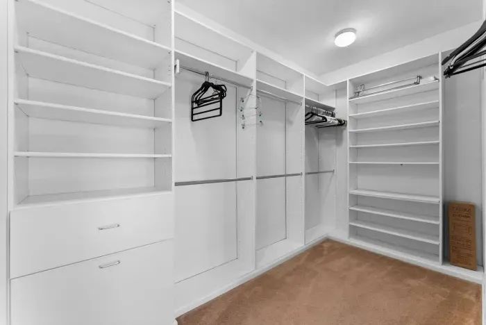 Walk-in closet lined with open shelving and plush carpet