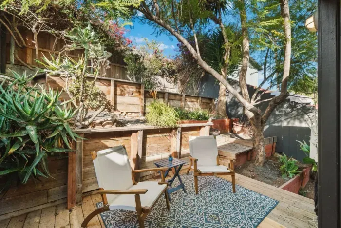 Cute yard area with trees and plants